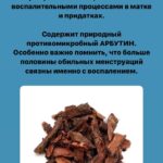 Фиторецепты при обильных менструациях: природная помощь и врачебный контроль