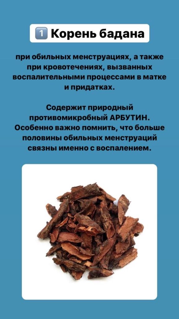 Фиторецепты при обильных менструациях: природная помощь и врачебный контроль