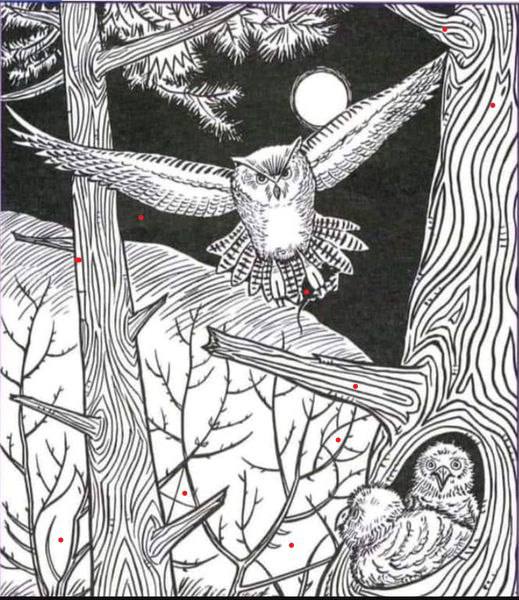 Тест на ментальные способности: проверь свой мозг!