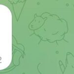 Питание осенью: белки, жиры и ферментированные овощи