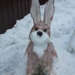 Подготовка к Новому году: курсанты и праздничные хлопоты