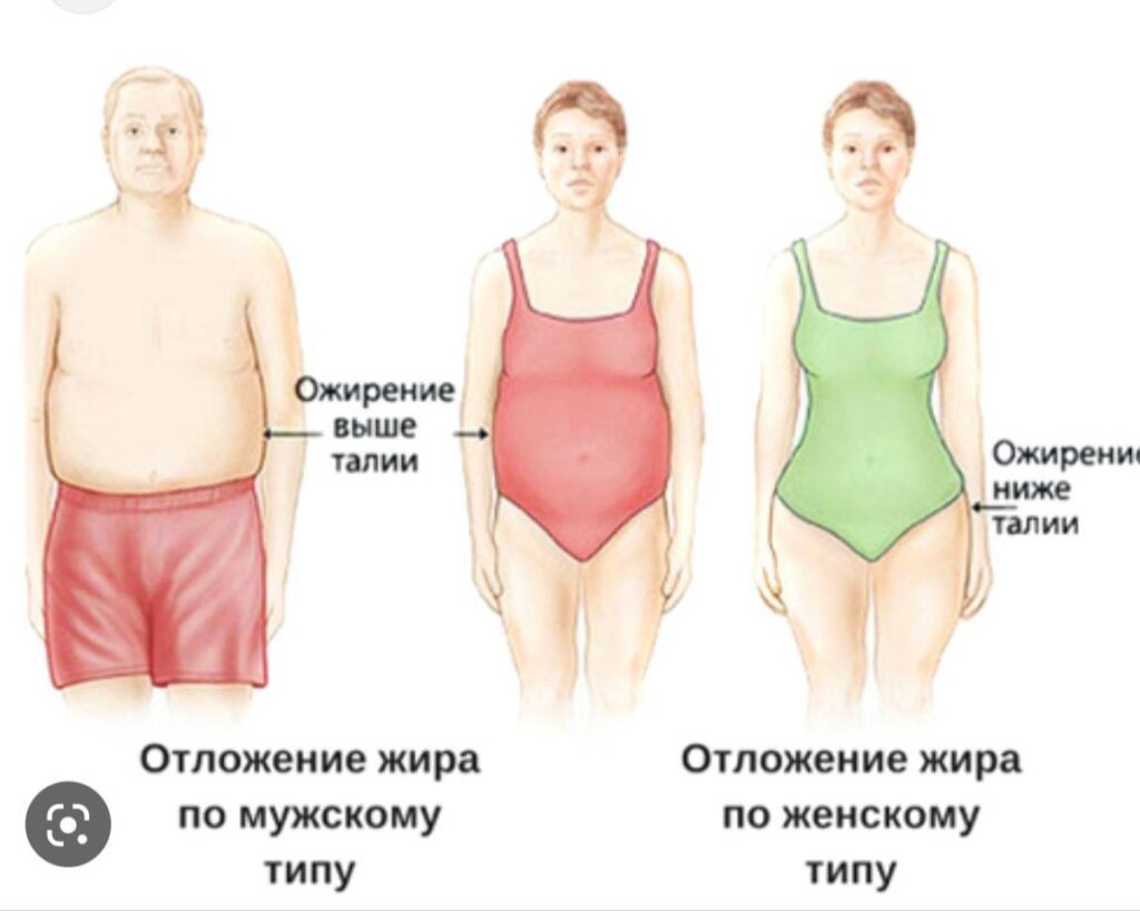 Гиперандрогения: внешние признаки и когда стоит обратиться к врачу