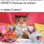 Тяга к сладкому после еды: как справиться и сохранить здоровье и красоту