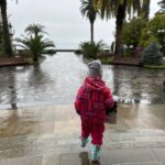 Путешествие: новые билеты и проверенный план