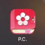 Электронный календарь менструаций: полное руководство