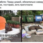 Как полюбить понедельник: секреты здоровья и красоты