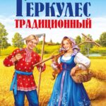 Поиск идеальной овсянки: секреты здоровья и красоты