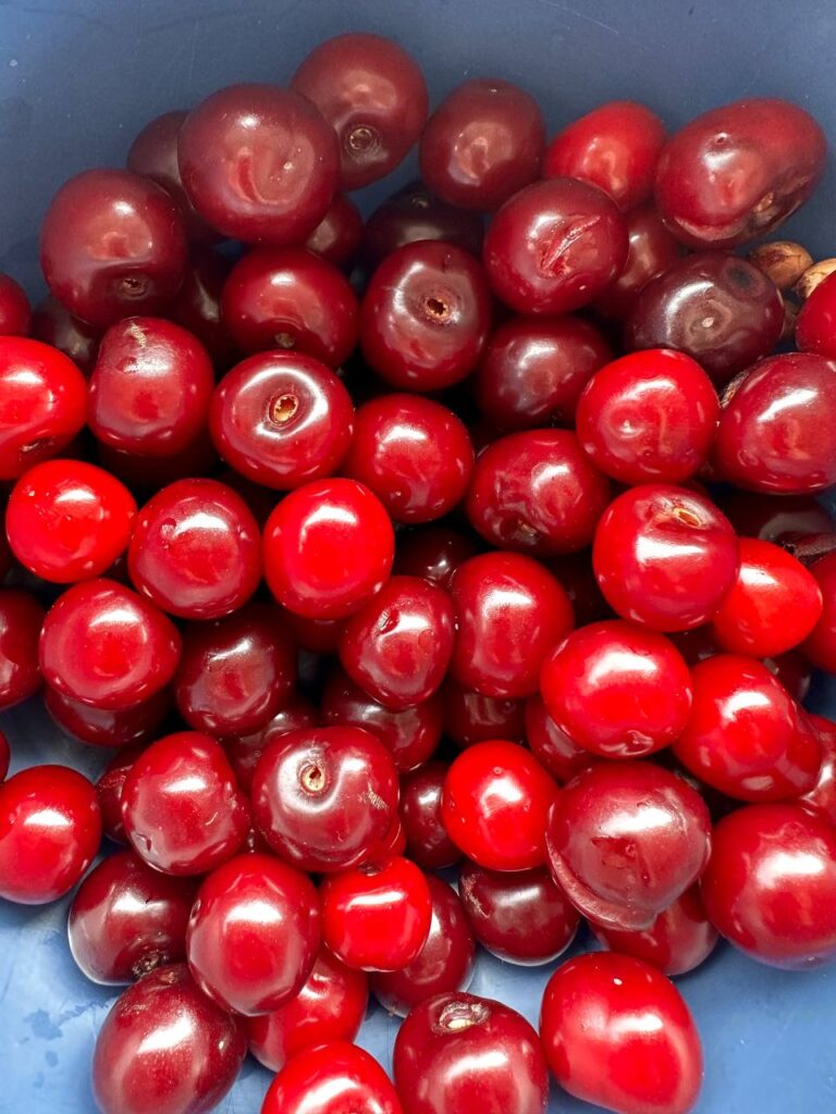 Вяленая черешня в сушилке: рецепт и советы