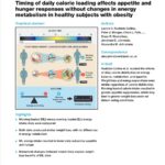 Калории и время: мифы о питании