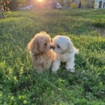 Осенний поцелуй: Забота о красоте и здоровье