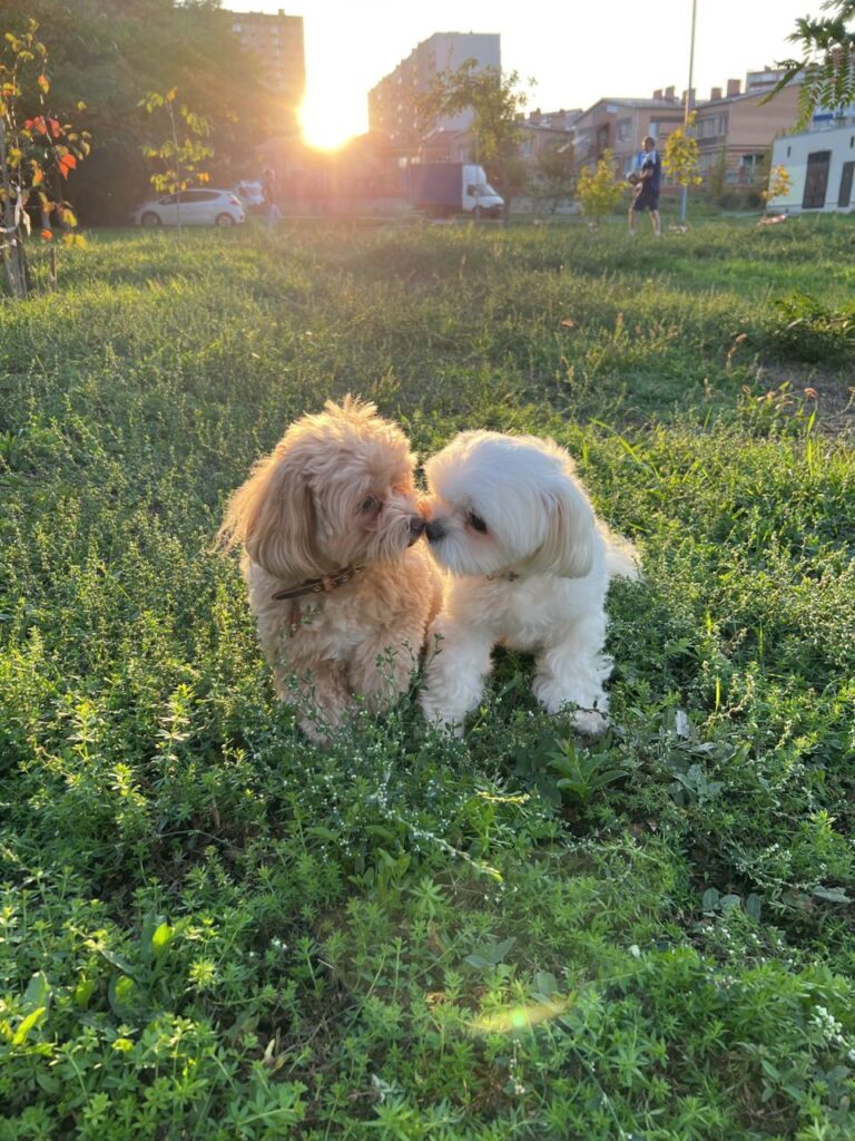 Осенний поцелуй: Забота о красоте и здоровье