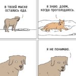 Уроки от кошек: Здоровье, красота и гармония