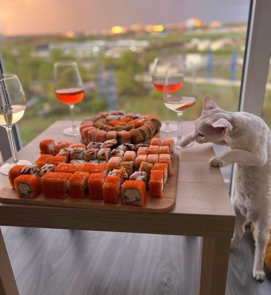 Пятничное Настроение: Забота о Себе, Красоте и Здоровье