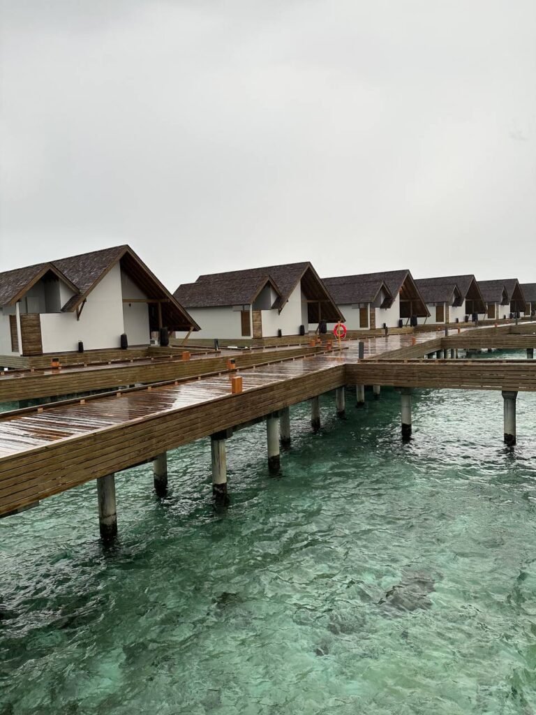 Здоровый Отдых: Моя Рутина и Секреты Баланса