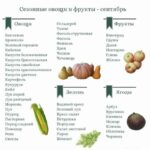 Сезонные овощи сентября и октября: тыква, картофель, свекла, морковь, батат
