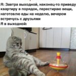 Идеальные выходные: забота о здоровье и красоте