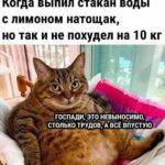 Вода натощак: пить или не пить?