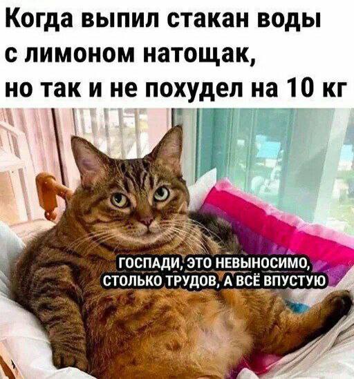 Вода натощак: пить или не пить?