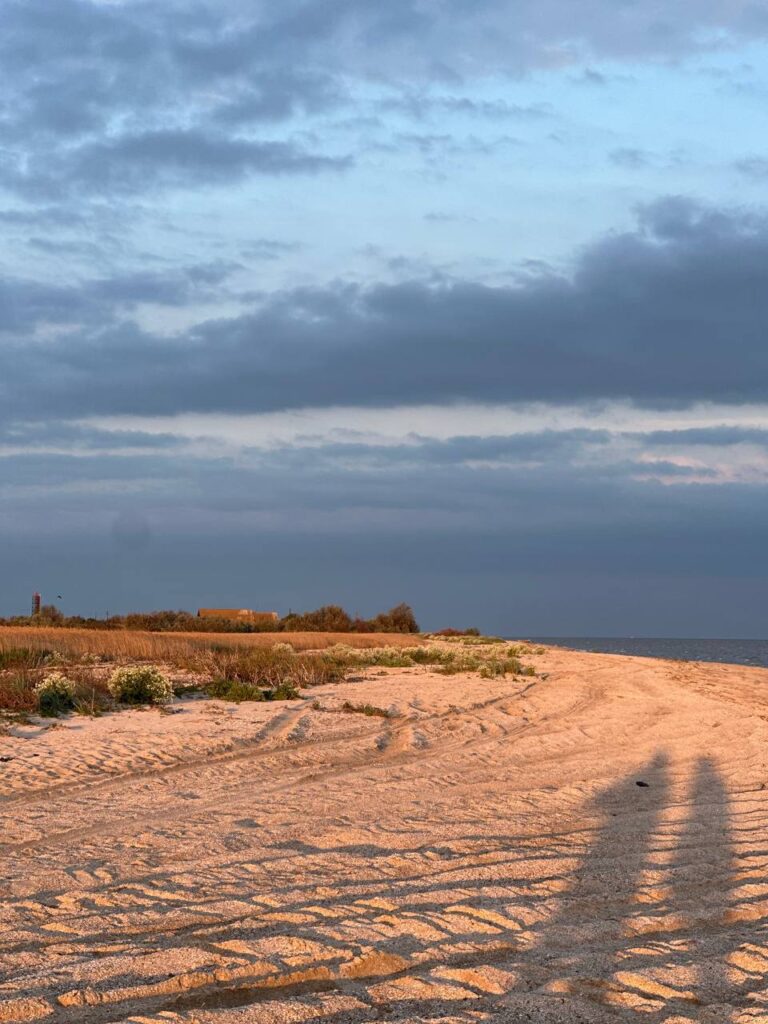 Таганрог: Воспоминания об Азовском море