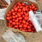 Рецепт домашнего томата от мамы