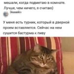 Движение – жизнь: найди свою активность для красоты и здоровья!