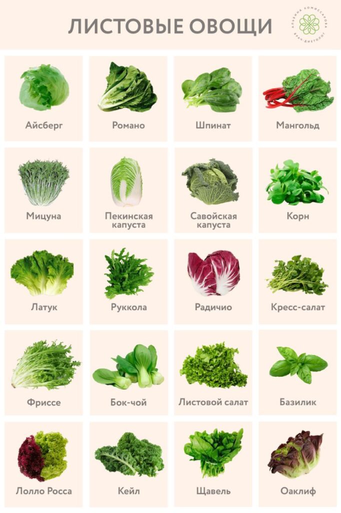 Листовые овощи: кладезь здоровья и красоты