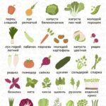 Сезонные овощи и фрукты июня: кладезь здоровья и красоты