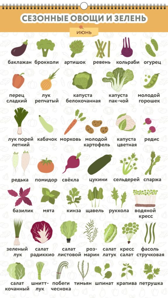 Сезонные овощи и фрукты июня: кладезь здоровья и красоты