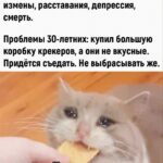 Выбросить или съесть: дилемма вкусной еды и здоровья