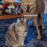 Здоровье и Красота: секреты продуктивной недели