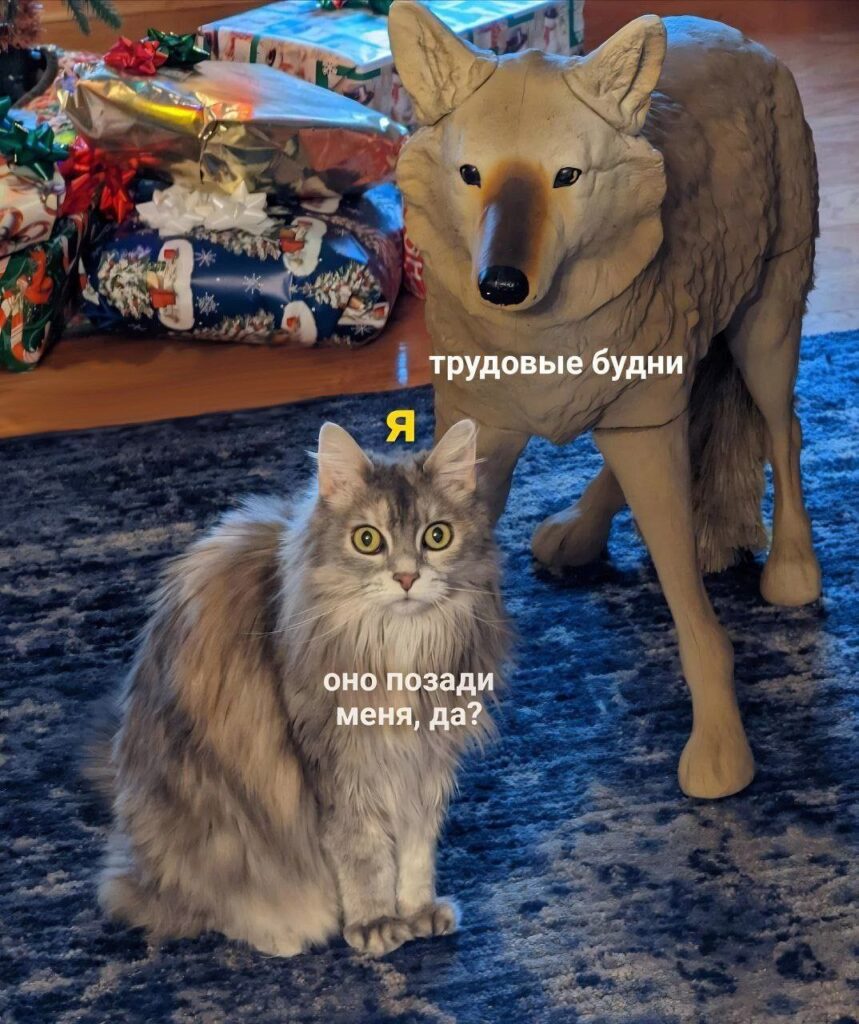 Здоровье и Красота: секреты продуктивной недели