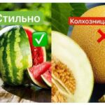 Дыня или Арбуз: Выбор Лета для Здоровья и Красоты