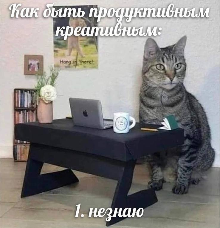 Как успевать всё: система приоритетов для здоровья и красоты