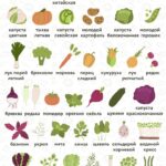 Сезонные фрукты и овощи августа: здоровье и красота