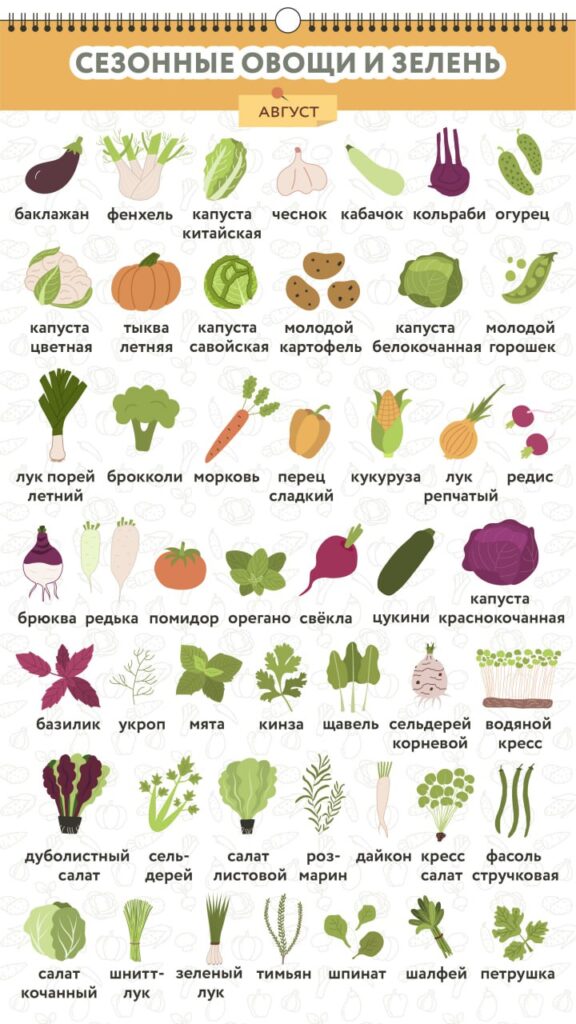 Сезонные фрукты и овощи августа: здоровье и красота