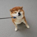 Тренировка вместо завтрака: когда и как?