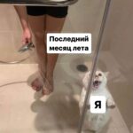 Забота о себе: здоровье и красота каждый день