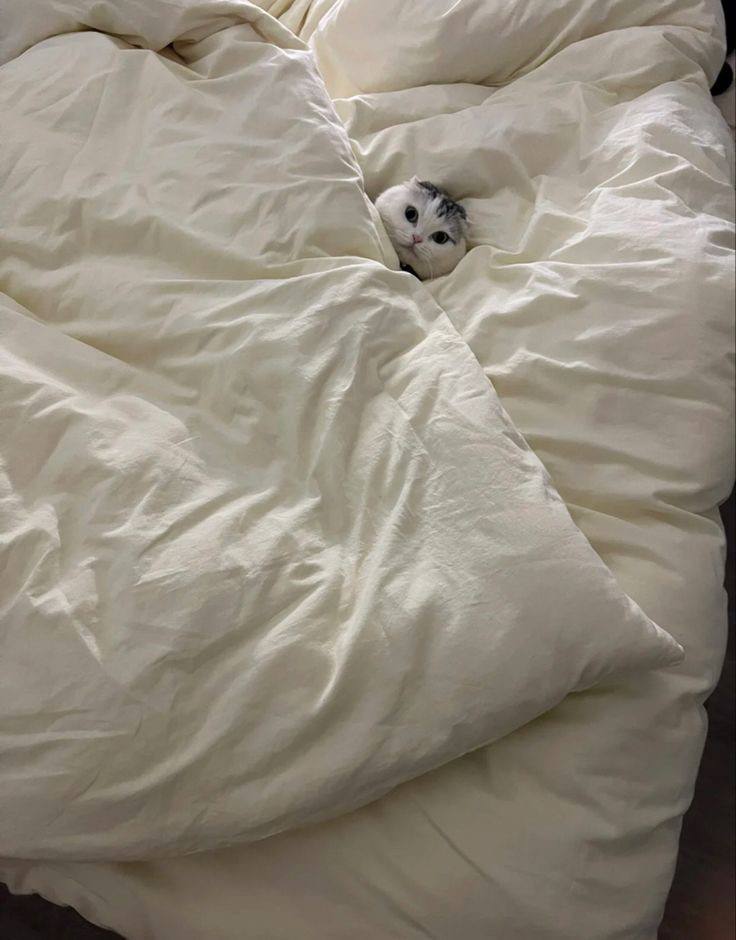 Восстановление и расслабление: ваши лучшие способы