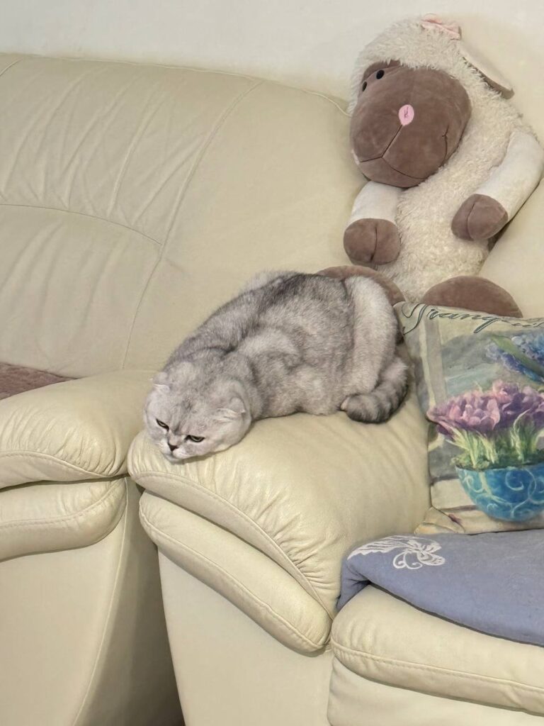 Разовые переедания и здоровый образ жизни: как оставаться в гармонии