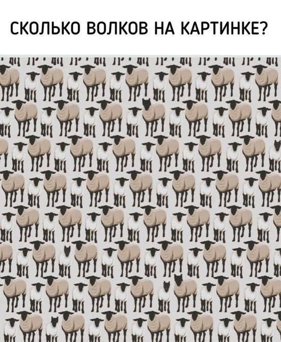 85% женщин находят только 3 волка. А ты?