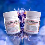 Эхиномин для долголетия: Секрет морских ежей и молодости!
