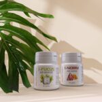 Йод осенью: Забота о щитовидной железе и иммунитете с Ай-Норм и Ай-Фукус