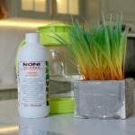 Сок Нони Делишес: Эликсир Здоровья и Молодости – Ваш Ежедневный Иммунный Щит!