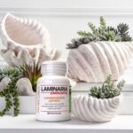 Ламинария Дропс: Здоровье из моря! Купить с выгодой