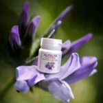 Люцерна Экстра Табс: Здоровье изнутри! Укрепите иммунитет и почувствуйте прилив сил!