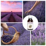 Взвар Тимьяна и Солодки: Здоровье из Природы для Пищеварения и Дыхания